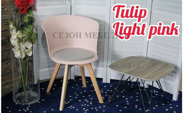  TULIP LIGHT PINK (,  1)