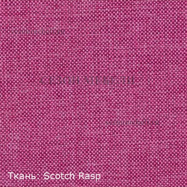  Scotch (,  11)