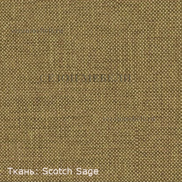   Scotch (,  12)