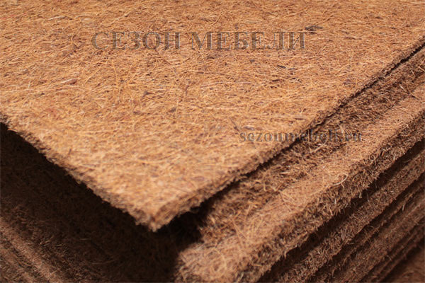  Medium econom 256 (,  2)