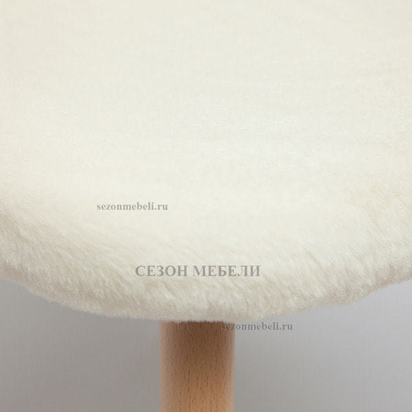  Melody (mod. 7003)   (,  5)