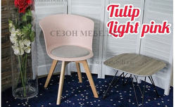  TULIP LIGHT PINK.  2