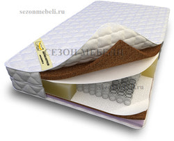  Popular mix econom 256